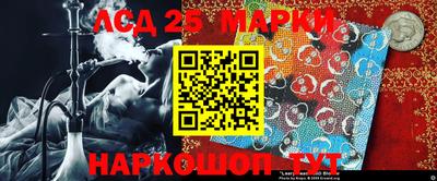 гидропоника Гатчина