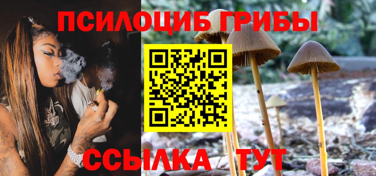 купить закладку  Вход с VPN  Можайск  Галлюциногенные грибы MAGIC MUSHROOMS 