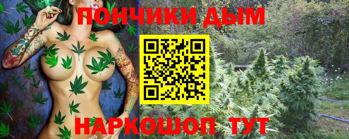 Марихуана Bruce Banner  Каннабис сатива  Вход с VPN  Марихуана гибрид  Можайск  Бошки Шишки MAZAR 